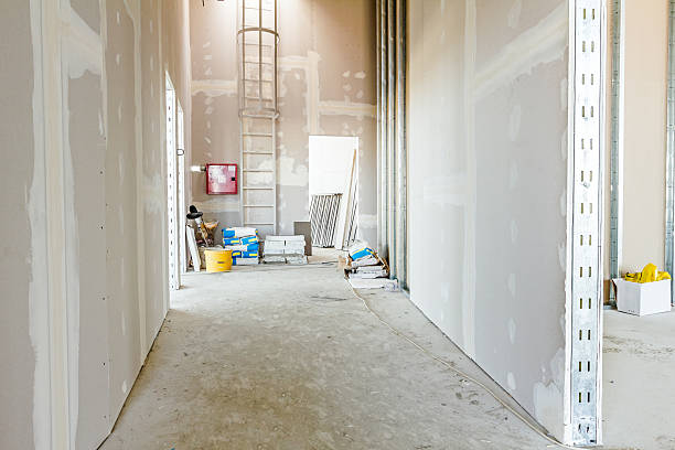 Professional Mold Removal in Heathcote, NJ